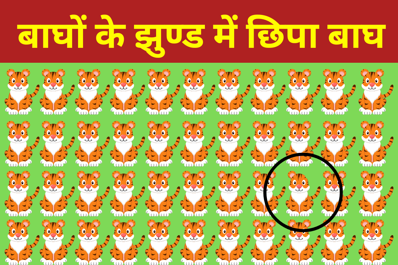 Optical Illusion: बाघों के झुण्ड में छिपा है 